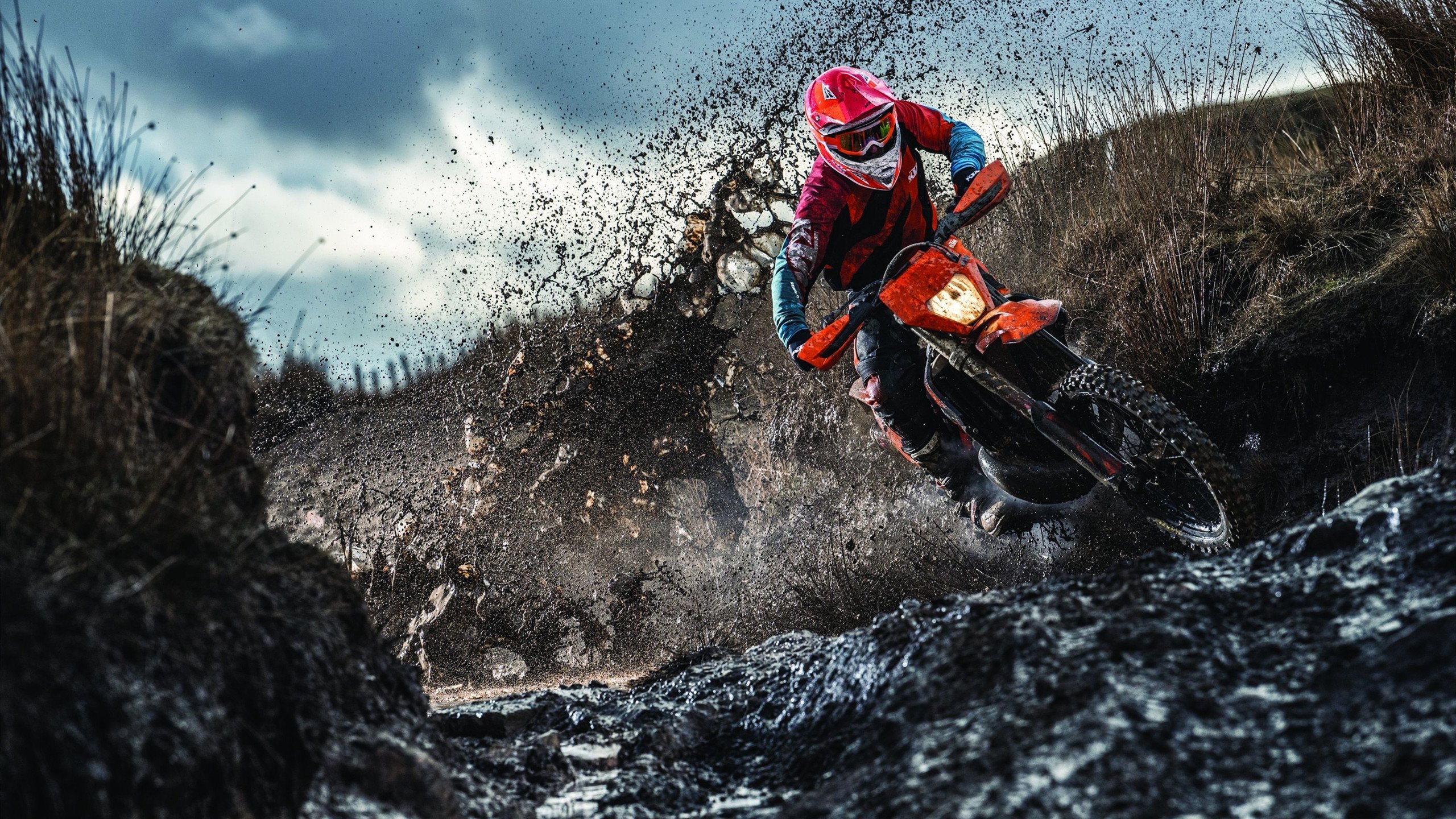 WTT常规挑战赛阿曼站王艺迪斩获女单冠军 状态渐入佳境